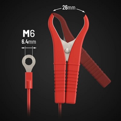 Polnilnik IntAct CB-08 6/12V - 0.8A 